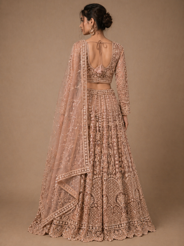 Nude Gold Embroidered Bridal Lehenga Set with Sheer Net Dupatta