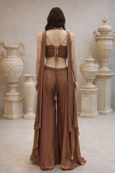 Rust Brown Tissue Co-ord Set with Embroidered Corset Top