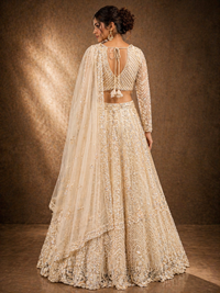 Women's Champagne Beige Embroidered Net Lehenga Choli with Dupatta