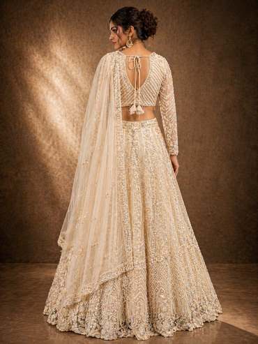 Women's Champagne Beige Embroidered Net Lehenga Choli with Dupatta