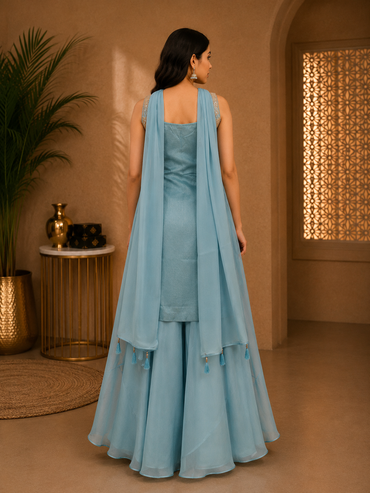 Sky Blue Banarasi Silk Embroidered Palazzo Set