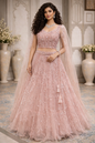 Women's Champagne Embroidered Net Lehenga Choli Set with Dupatta