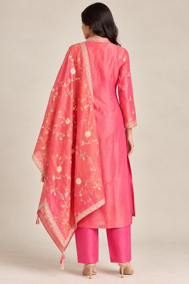 R46999 back pose