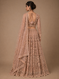 Nude Gold Embroidered Bridal Lehenga Set with Sheer Net Dupatta