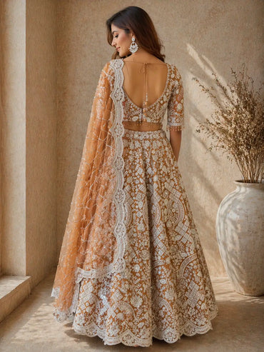 Elegant Brown Net Embroidered Lehenga Set