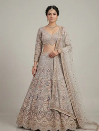Dull Gold Net Embroidered Lehenga Set